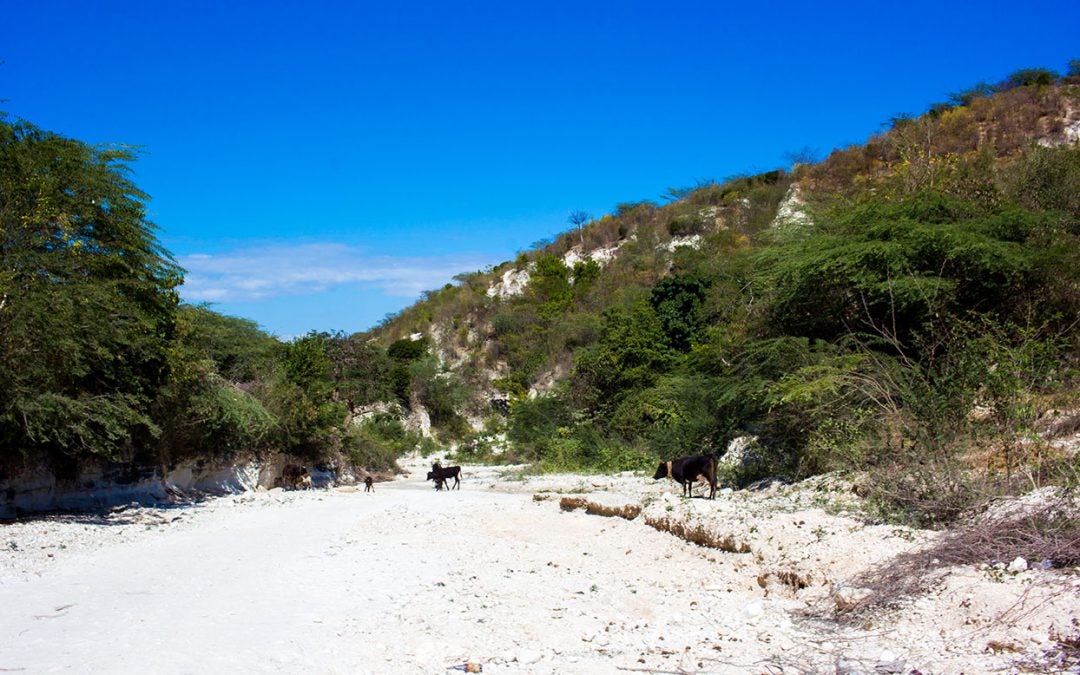 THIRST: Searching for Clean Drinking Water on a Desert Island