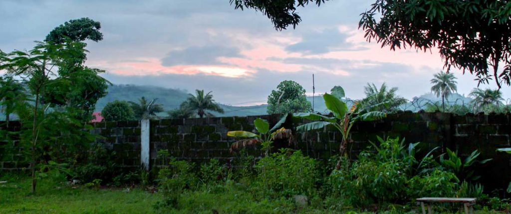 SL-wall-1024×430